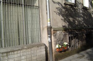 kliknij na zdjcie, aby je powikszy