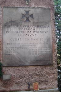 kliknij na zdjęcie, aby je powiększyć